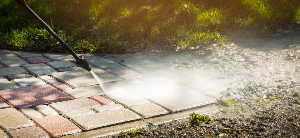 Best Animal Enclosure Cleaning  in Lido Beach, NY